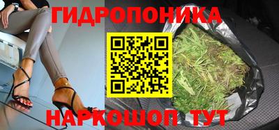 шишки Обнинск