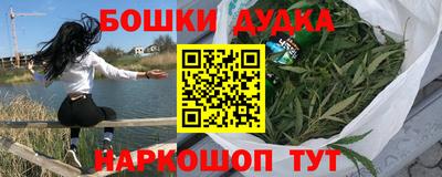 spice Обь