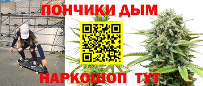 шишки Обнинск