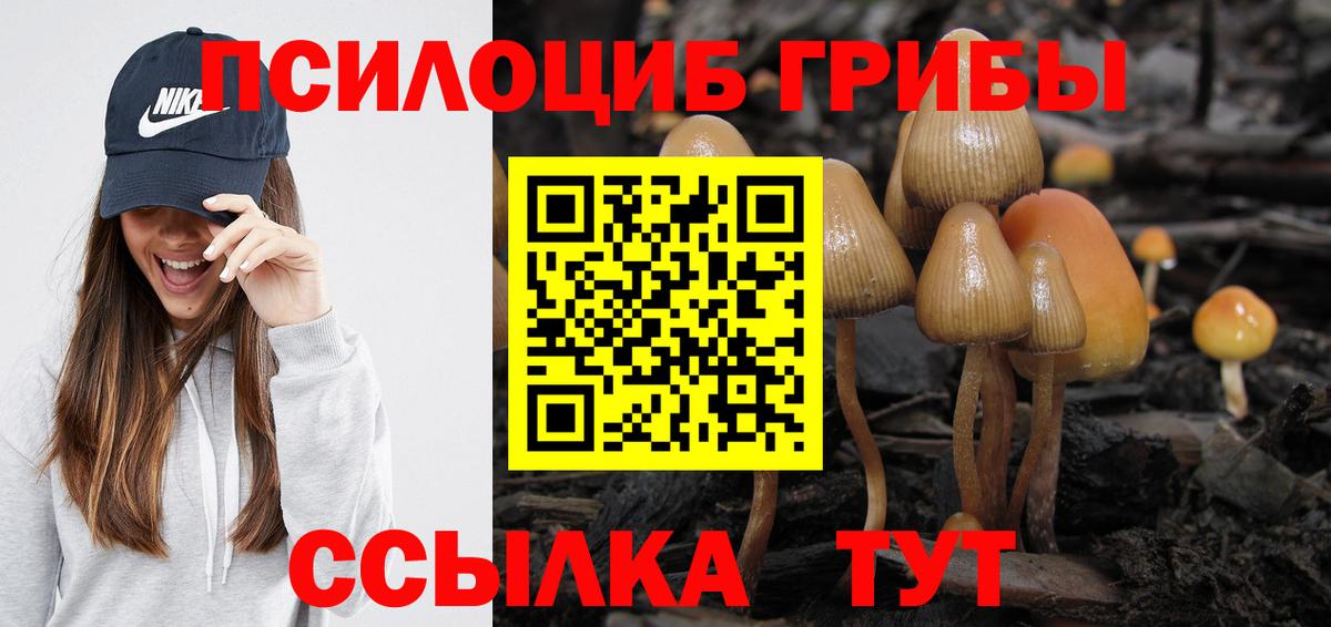 Псилоцибиновые грибы Psilocybine cubensis Таганрог