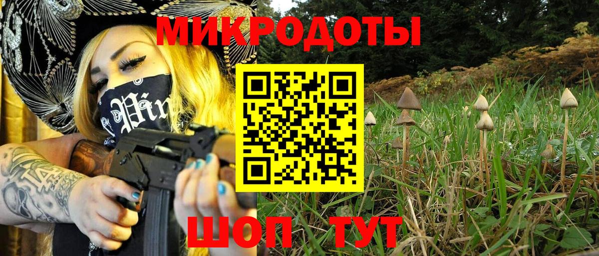 Галлюциногенные грибы Cubensis  Галлюциногенные грибы Cubensis  Вход с VPN  Таганрог 