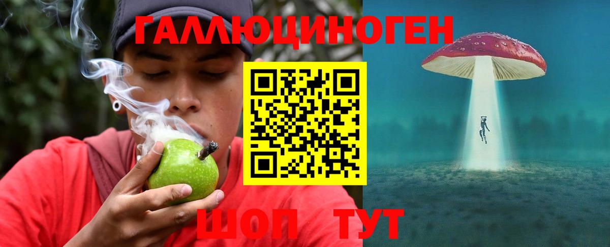Псилоцибиновые грибы Таганрог